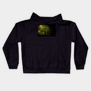 Midnight Suburban Mist Kids Hoodie